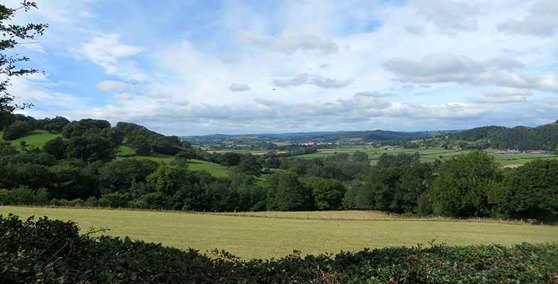 Rural entrepreneurship in Wales